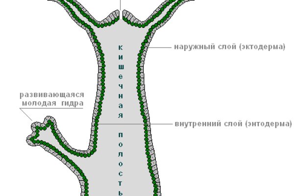 Как пополнить кошелек кракена