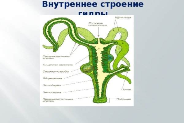 Какая ссылка на кракен